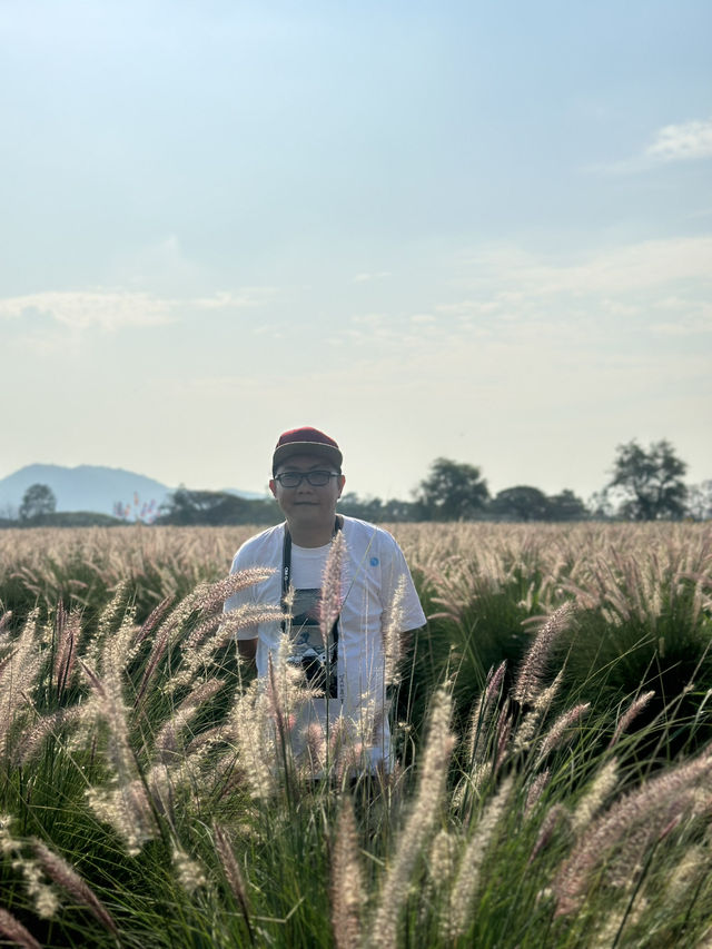 2 Days in Khao Yai: Wine, Flowers & Hidden Gems – My Private Tour Experience from Bangkok 🍷🌻