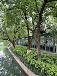 เดินเล่นรอบทะเลสาป  Xihu