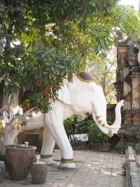 【晴れた日は写真映え間違いなし！】チェンマイのかっこいい寺院🇹🇭
