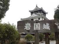 🏯 Climbing to the Sky – Iwakuni Castle Adventure