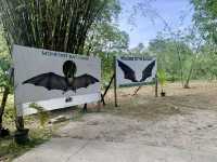 Monfort Bat Sanctuary, Samal Island