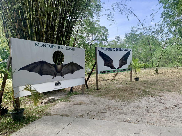 Monfort Bat Sanctuary, Samal Island