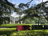 🌸 Exploring the Jiangnan Region – Nanjing, Wuxi, Suzhou & Shanghai in 6 Days!