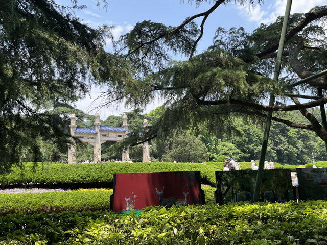 🌸 Exploring the Jiangnan Region – Nanjing, Wuxi, Suzhou & Shanghai in 6 Days!