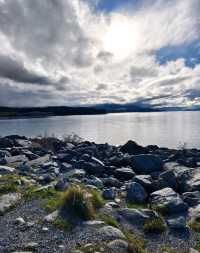 A Taste of Pure Freshness: Mount Cook Alpine Salmon Delight