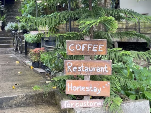 No Coffee, Just Vibes – Proud Cafe Life