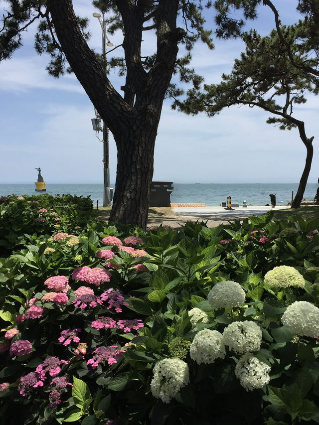 완벽한 부산 해운대 코스