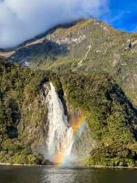 Milford Sound isn’t just a destination — it’s an experience in motion. 