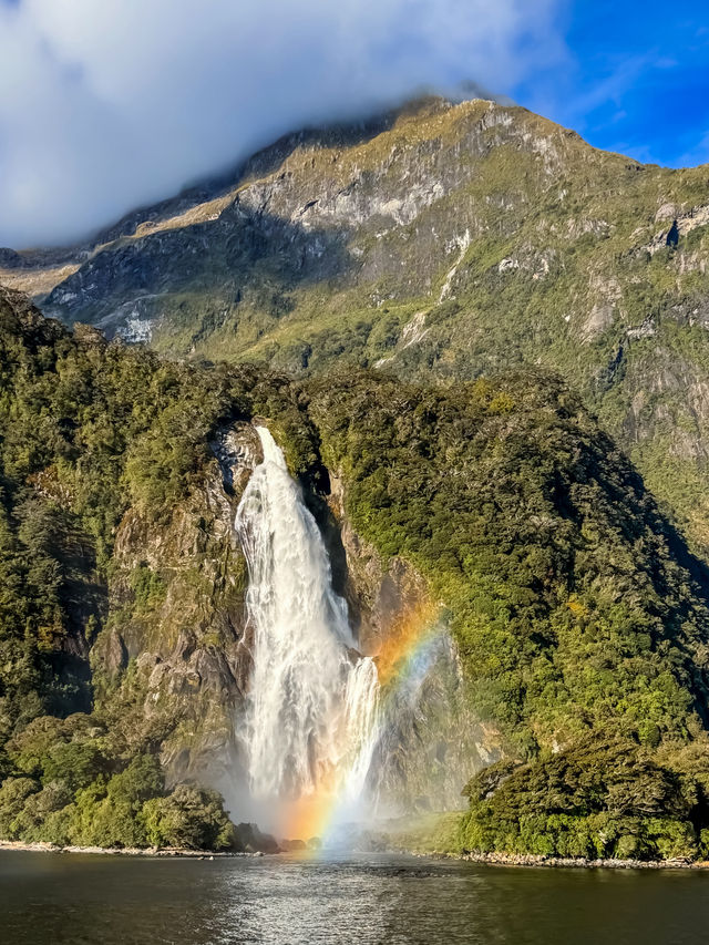 Milford Sound isn’t just a destination — it’s an experience in motion. 