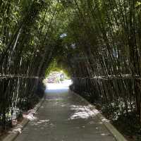 Bailuzhou East Park: Xiamen’s Chill Zone (With 100% Less Tourists)"** 🌿🦢  