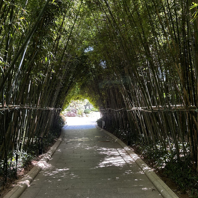 Bailuzhou East Park: Xiamen’s Chill Zone (With 100% Less Tourists)"** 🌿🦢  