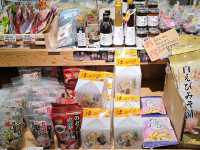 富山人的週末日常就在〔總曲輪〕親子散步市集好去處
