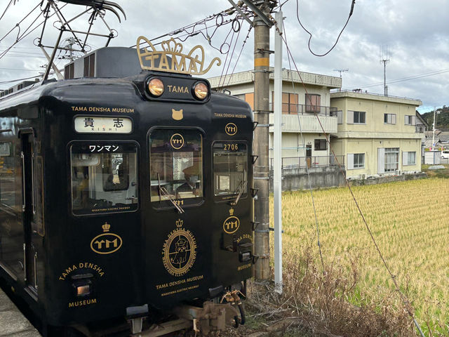 貴志駅（貴志車站-貓站長）