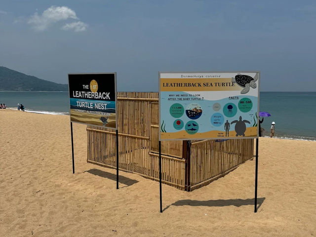 Mai Khao Beach