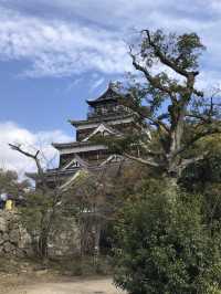 日本百名城-廣島城（2026/03開始休息）