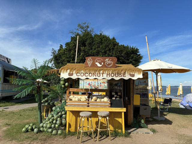 廈門的絕美環島路線！🏝️🐚  