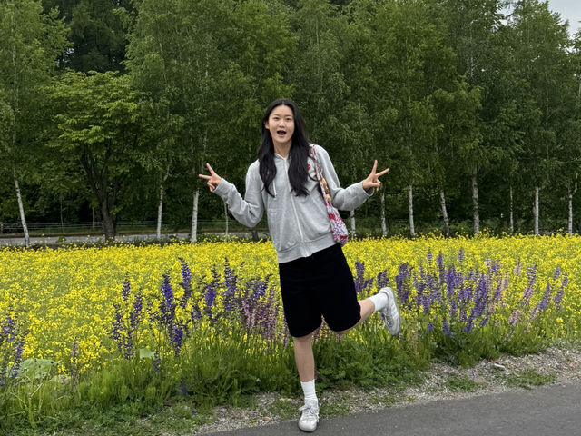 여름 홋카이도 여행 일정 공유 🇯🇵