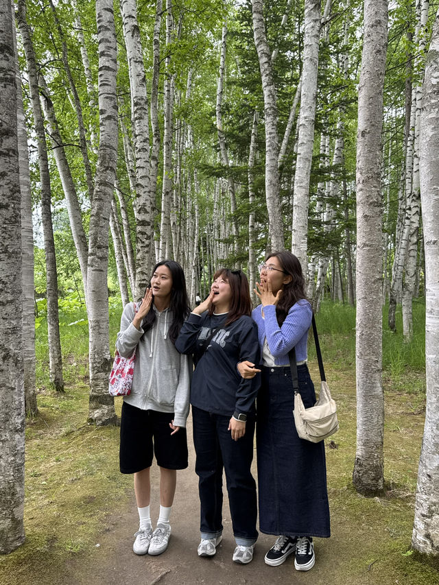 여름 홋카이도 추천 코스 🇯🇵