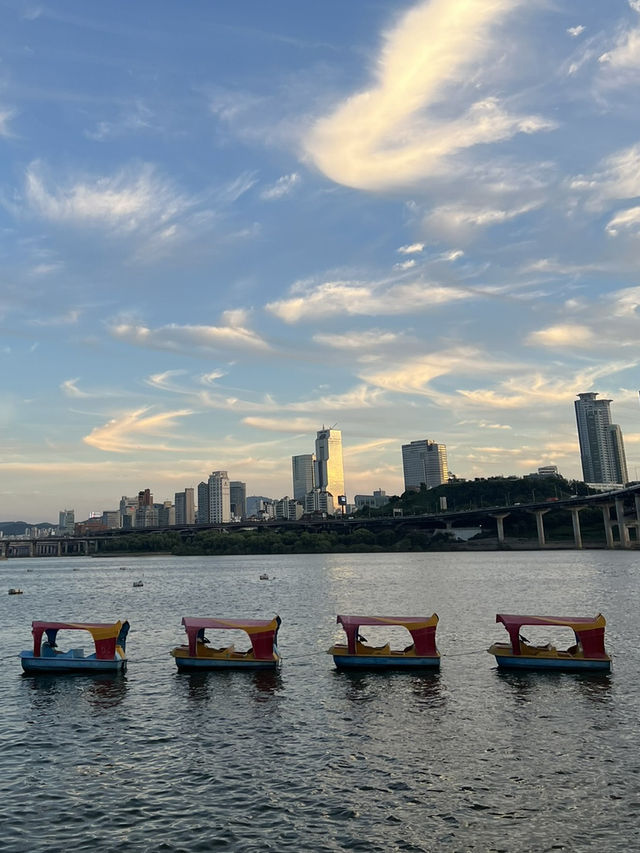 ปิกนิกที่สวนตุกซอม (Ttukseom Hangang Park) 🧺