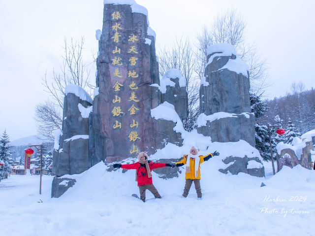 Plan harbin 