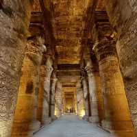 Dendera After Dark: A Celestial Summer Adventure at Egypt’s Best-Preserved Temple