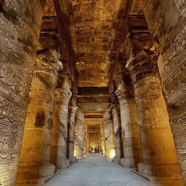 Dendera After Dark: A Celestial Summer Adventure at Egypt’s Best-Preserved Temple
