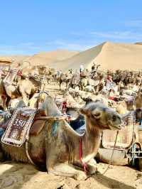 Have You Heard Sand Sing? Make Dunhuang a Must-Do!
