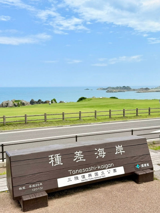 Ocean & Meadows Unbound: A Summer Walk Along Tanesashi Coast