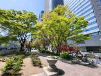 隱身大阪銀行街中的都市之肺/大阪中之島綠地公園