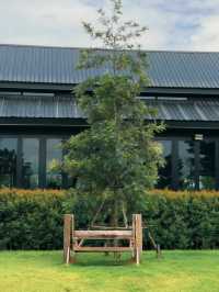 คาเฟ่สระบุรี 🧺🍃🌳 The Barnery