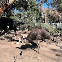 Taronga Zoo