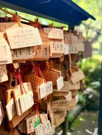 Discover the Magic of Hotoku Ninomiya Shrine: A Summer Adventure in Japan!
