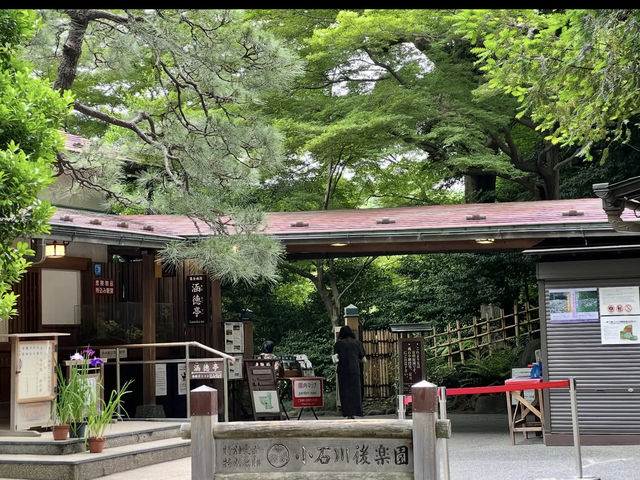 🍁東京・後楽園｜小石川後楽園｜都心のオアシスで、日本と中国の美が融合する庭園散歩🌿✨