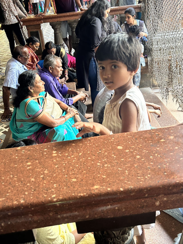 พระราชวังไมซอร์ (Mysore Palace) ประเทศอินเดีย 