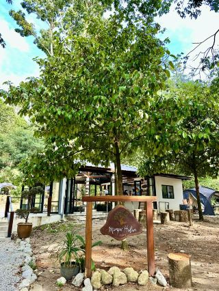 Sip, Breathe, Escape: Mimpi Hutan Café in the Garden of Eve