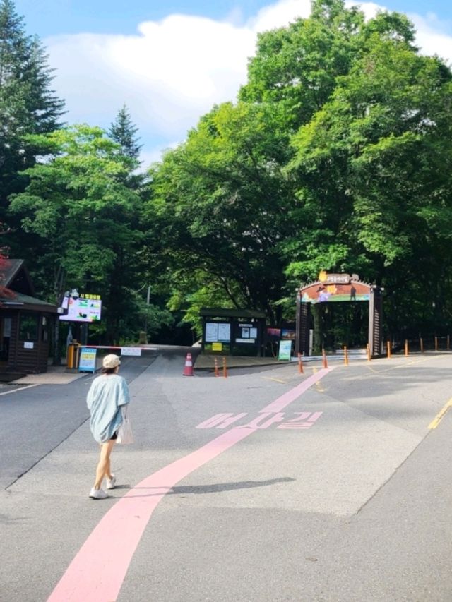 백련사까지 계곡트레킹하기💚무주어사길