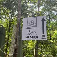 🍃Post-Hike Treat at Hill & Heal Café – A Hidden Gem in Kluang!🌿