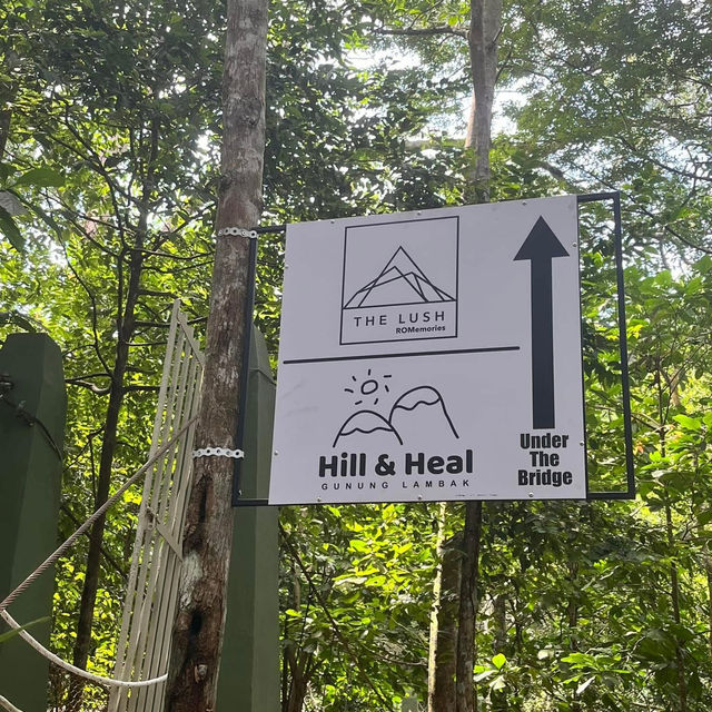 🍃Post-Hike Treat at Hill & Heal Café – A Hidden Gem in Kluang!🌿