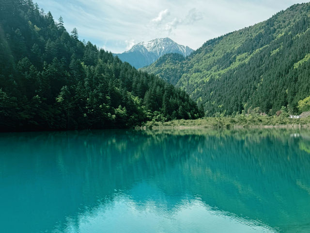 Whispers of Water: Serenity in Every Shade of Blue