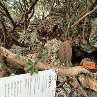 【沖縄】幸せを呼ぶ絶景。沖縄の天空岬「果報バンタ」で心を満たすパワースポット巡り💖