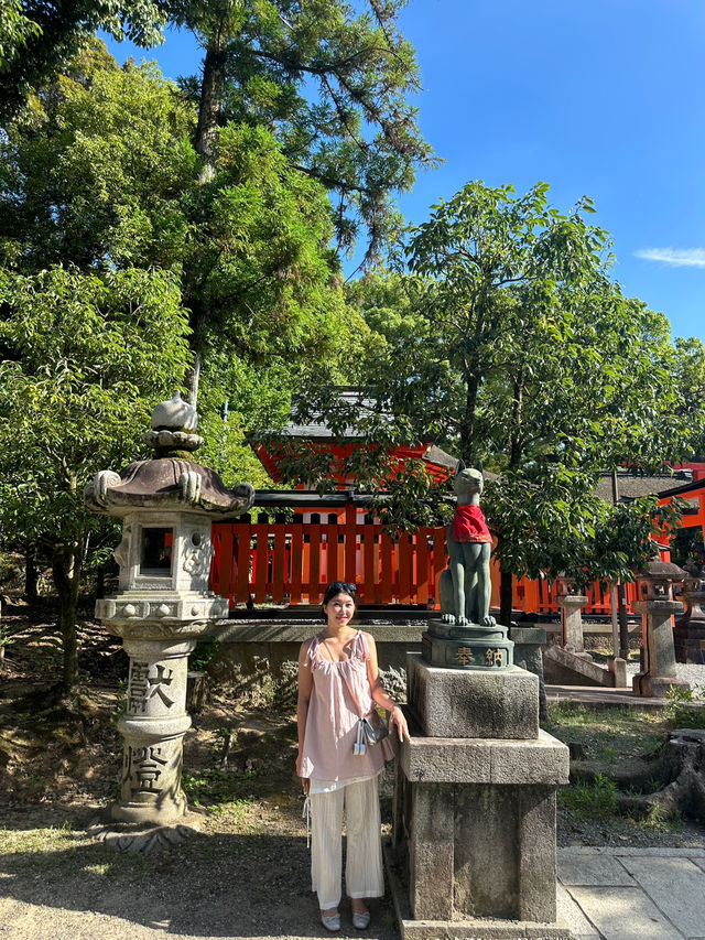 교토 당일치기 알짜배기 여행코스 🇯🇵🚌