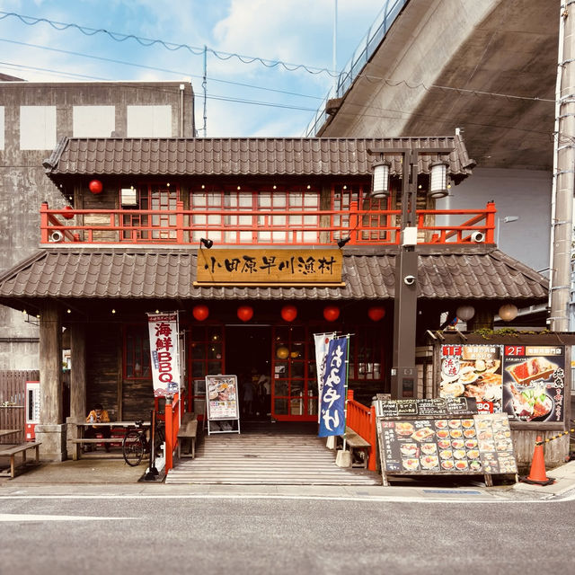 Odawara Harbor: A Solo Traveler’s Salt-Kissed Escape Under the Castle Walls"** 🏯🌊
