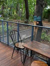 Arborea Cafe: The Chill Spot Beneath the Leaves
