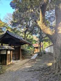 Koishikawa Korakuen Garden Tokyo