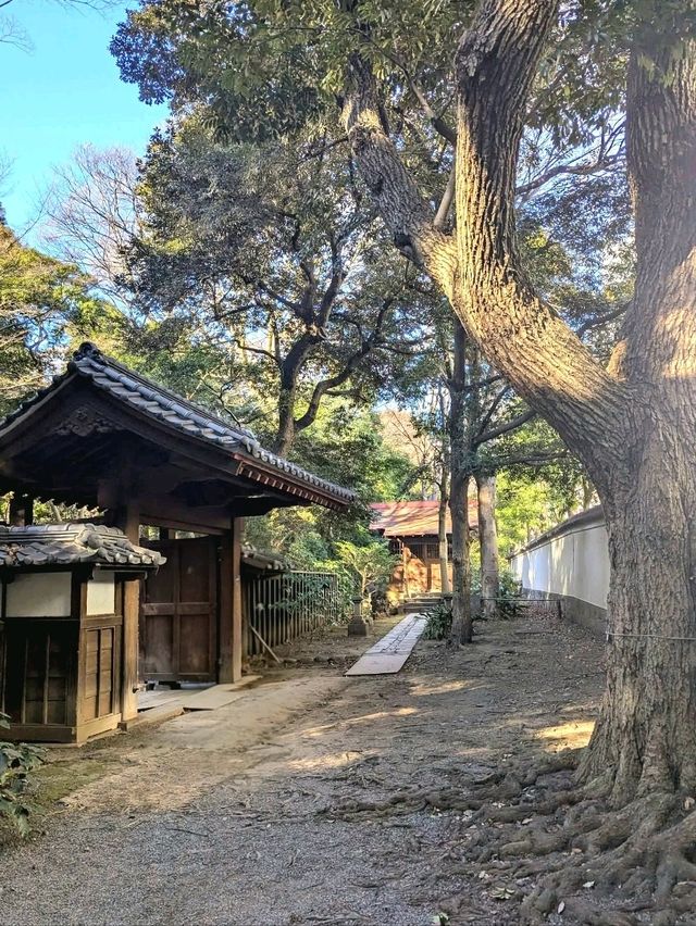 Koishikawa Korakuen Garden Tokyo