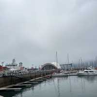 🌊 Qingdao Port: Two Faces, One City 💙✨