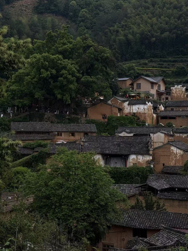 浙江必遊 莫干山 烏鎮 麗水