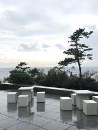 【神奈川県立近代美術館 葉山館とミサキドーナツ 葉山　一色海岸】