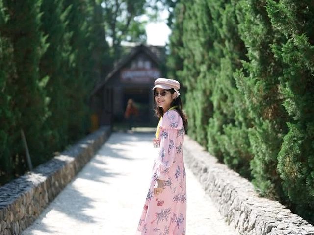 อัลปาก้าฮิลล์ สวนผึ้ง