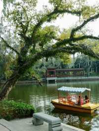 Xihu Park 🌺 